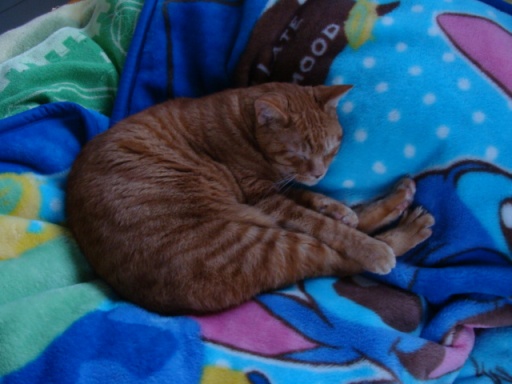 gen201012.jpg