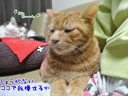gk5.jpg