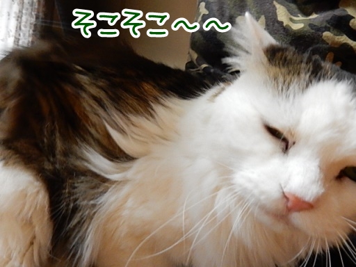 kin2.jpg