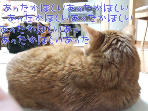 DSC_0046.jpg