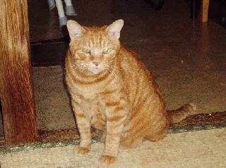 gen200611.jpg