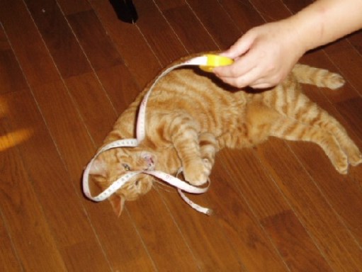 gen2007072.jpg