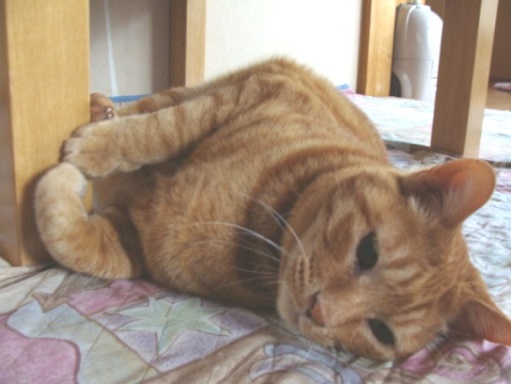 gen200904.jpg