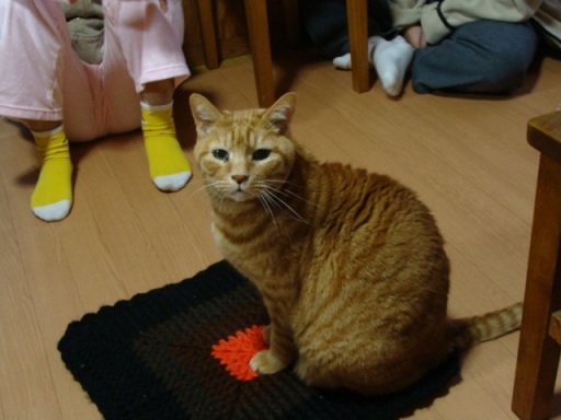 gen201001-1.jpg