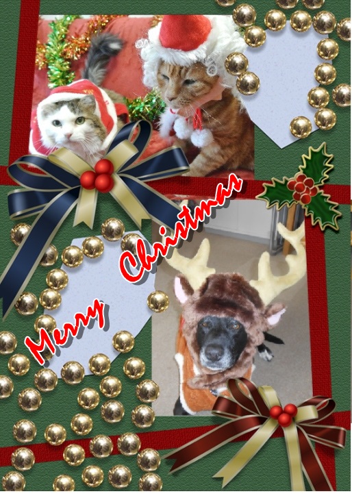 Xmas.jpg