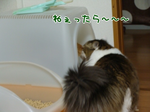 gk3.jpg