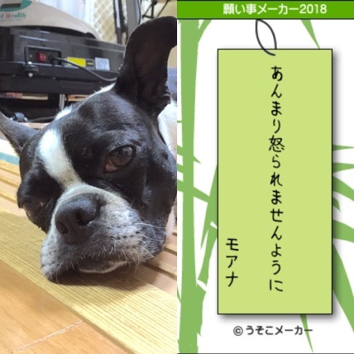 06E6050A-923F-413D-B164-3823A8BEDFCF.jpg