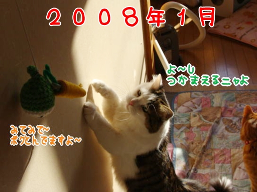 2008.1.jpg