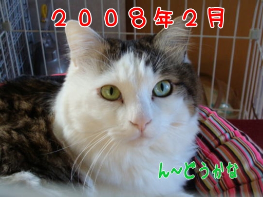 2008.2haore.jpg