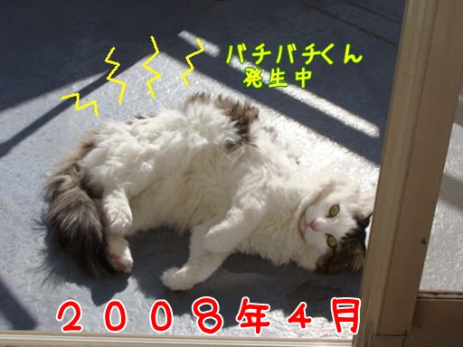2008.4.jpg