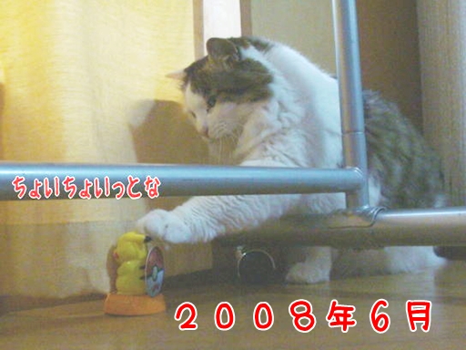 2008.6.jpg