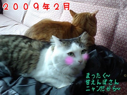 2009.2.jpg