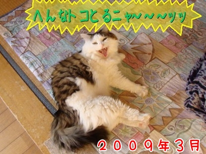 2009.3.jpg
