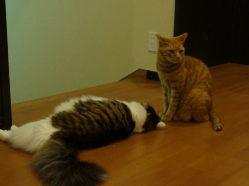 2010.4hikkusi.jpg