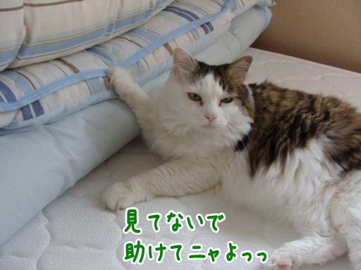 2010.6.jpg