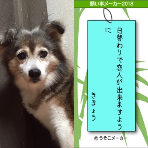 BC57CFBF-6D91-488A-BA8A-1DDC5EE76350.jpg