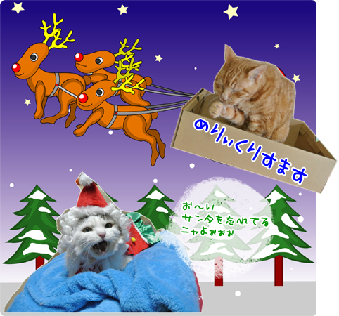 decem10.png