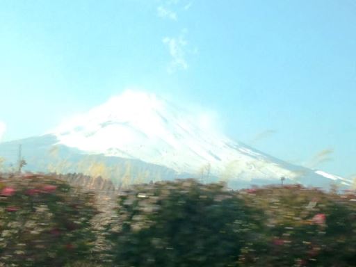 fuji.jpg