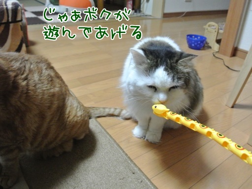 gk3.jpg