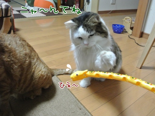 gk4.jpg