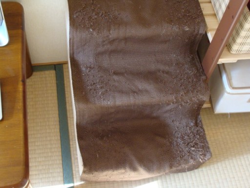 image.jpg