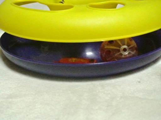 image.jpg