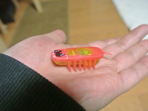 image.jpg