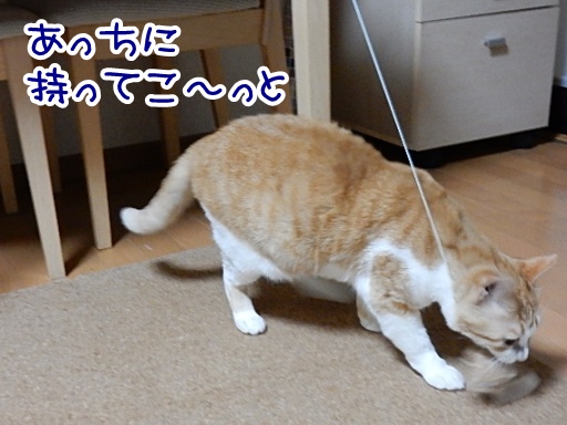 kuu2.jpg
