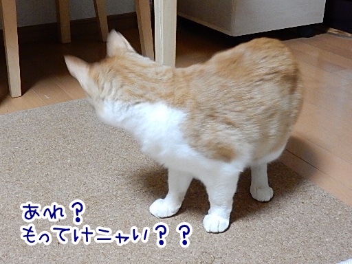 kuu3.jpg