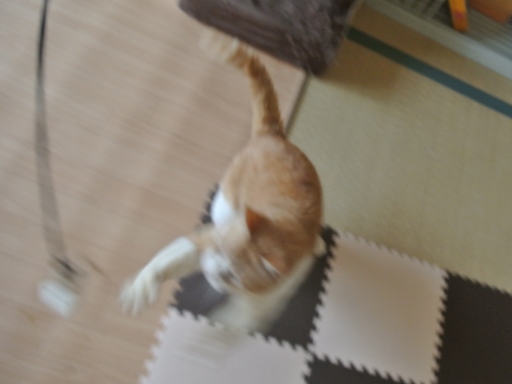 kuu3.jpg