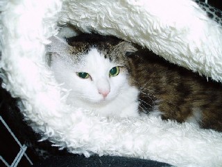 2006.11.jpg