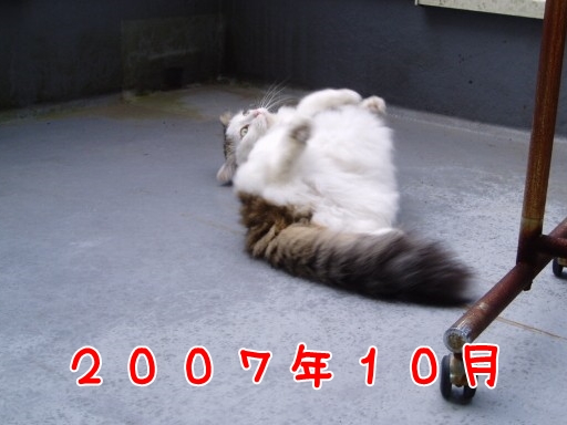 2007.10.jpg