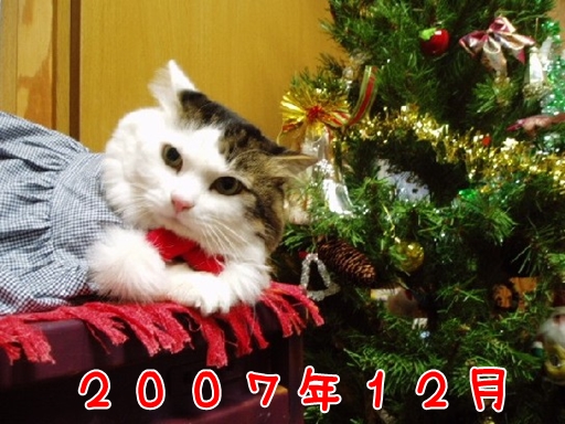2007.12.jpg