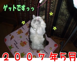 2007.5.jpg