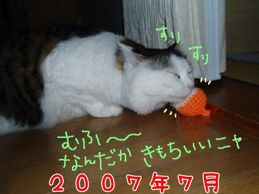 2007.7.jpg