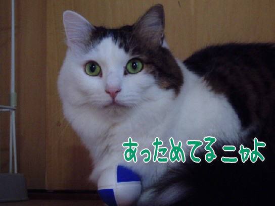 2007.8.jpg