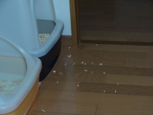 DSC08177.jpg