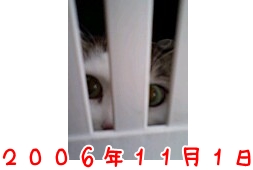 c5baf928c8be37841a6c56d2c813543e.jpg