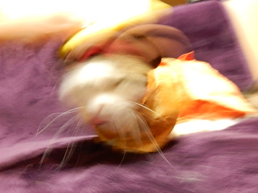 kin.jpg