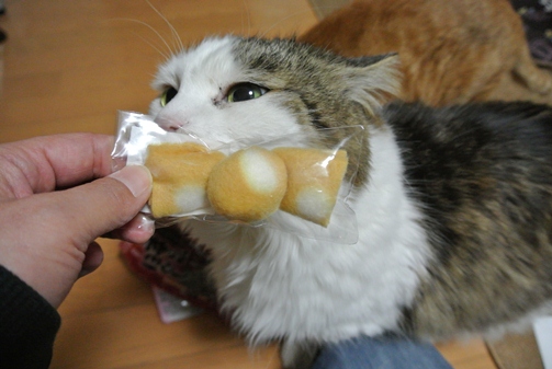 kin.jpg