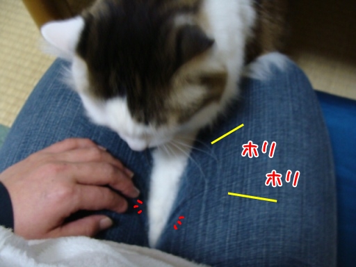 kin2.jpg