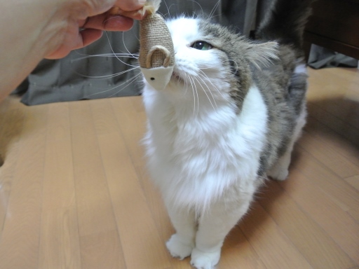 kin2.jpg
