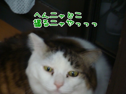 kin2.jpg