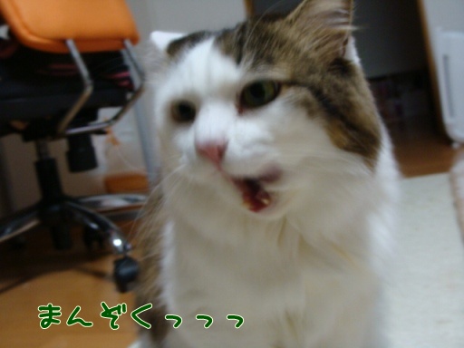 kin2.jpg