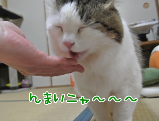 kin2.jpg