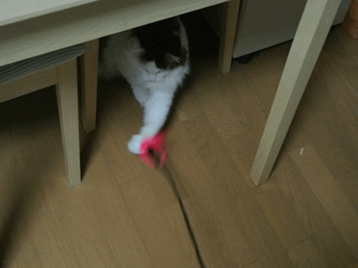 kinani2.gif