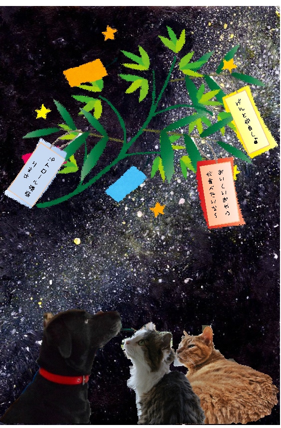 tanabata.jpg