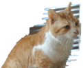 くう.png