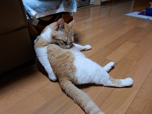 kuu.jpg