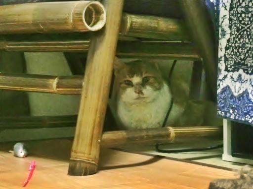 kuu.jpg